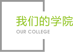 奇异果·体育官网